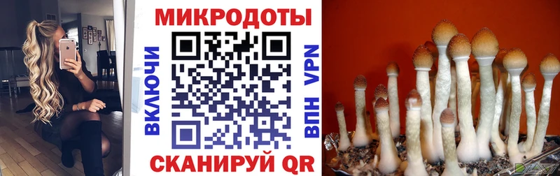 Псилоцибиновые грибы MAGIC MUSHROOMS Павловский Посад