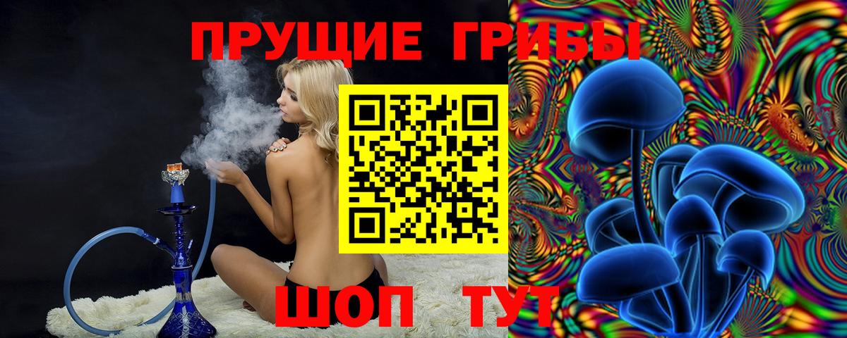 Павловский Посад  продажа наркотиков  Вход с VPN  Псилоцибиновые грибы Psilocybine cubensis 