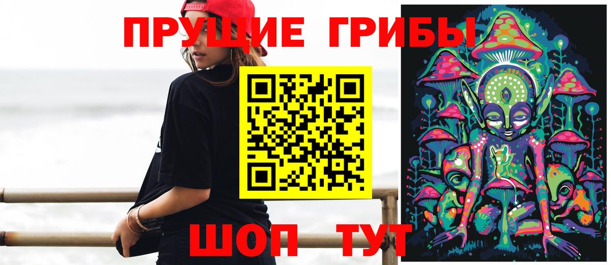 Галлюциногенные грибы Psilocybe Павловский Посад