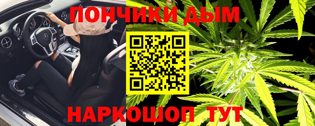 Шишки марихуана планчик Павловский Посад
